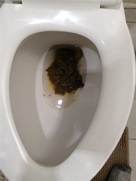 poop pics porn